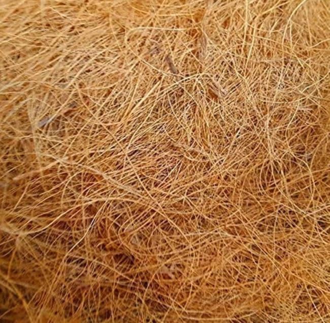 MAF Natural Coco Fiber Fine Quality 100% Natural And Non-Toxic Nesting Material For All Birds And Small Animals Sufficient For 4 Bird Nests (B0CJPPGJG3) Amazon Price History, Amazon Price Tracker