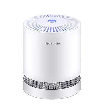 RIGOGLIOSO Air Purifiers for Home, H13 HEPA Air Purifier For Smoke Pollen Dander Hair Portable, Air Purifier with Sleep Mode Speed Control For Bedroom Office Living Room Kitchen,GL-2109 Kitchen
