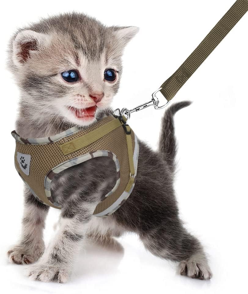 Miniatura 2 de FEimaX juego de arnés y correa para perro para caminar, de malla suave ajustable de control fácil y ligero, arneses de chaleco para gatos con tiras