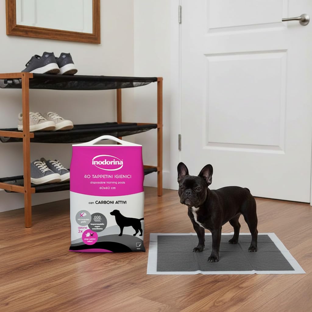 Inodorina Tappetini igienici per Cani (60x60 cm, 40 Pezzi) – Traversine con Carboni Attivi Super assorbenti in Pura cellulosa Vergine – con polimeri Odor Control e Sticker Antiscivolo