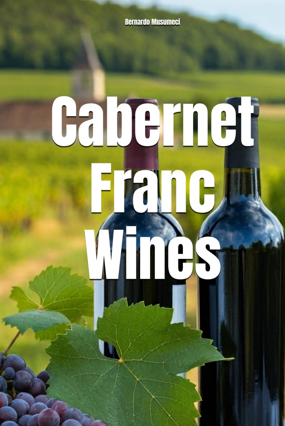 Cabernet Franc Wines (Wines of the World: France)