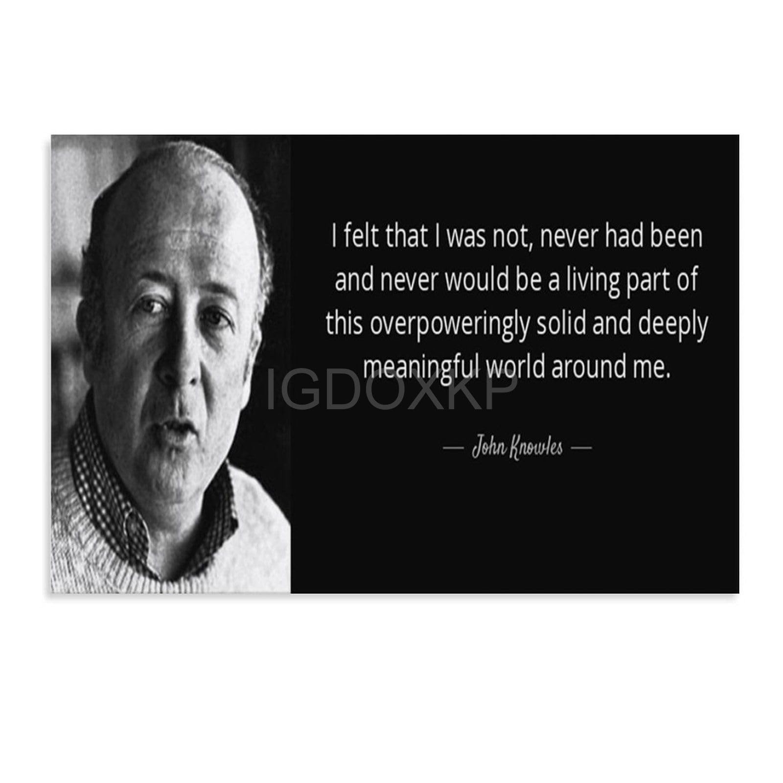 HOSAIR John Knowles Novelist Famous Quotes Portrait Retro Black And White Art Poster (3) Canvas Poster Bedroom Decor Office Room Decor Gift Unframe-style 36x24inch(90x60cm)