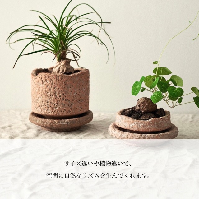 Amazon.co.jp: TUISKU 植木鉢 テラコッタ アンティーク風 モスポット