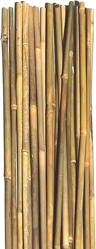 Miniatura 2 de Dlh Western Bastones de bambú natural, estacas de jardín ecológicas de 16 pulgadas de largo (20 unidades) de bambú Dlh Western