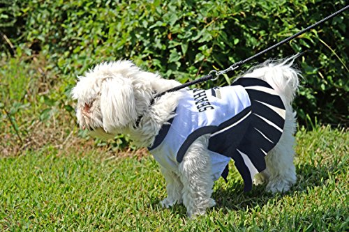 Seattle Seahawks Nfl Cheerleader Dress For Dogs - Size X-Small #TOP3