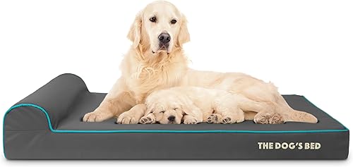 Miniatura 30 de Cama ortopédica para perro de la marca The Dog's Bed, espuma viscoelástica premium S-XXXL, impermeable, alivio del dolor de perro para la artritis,