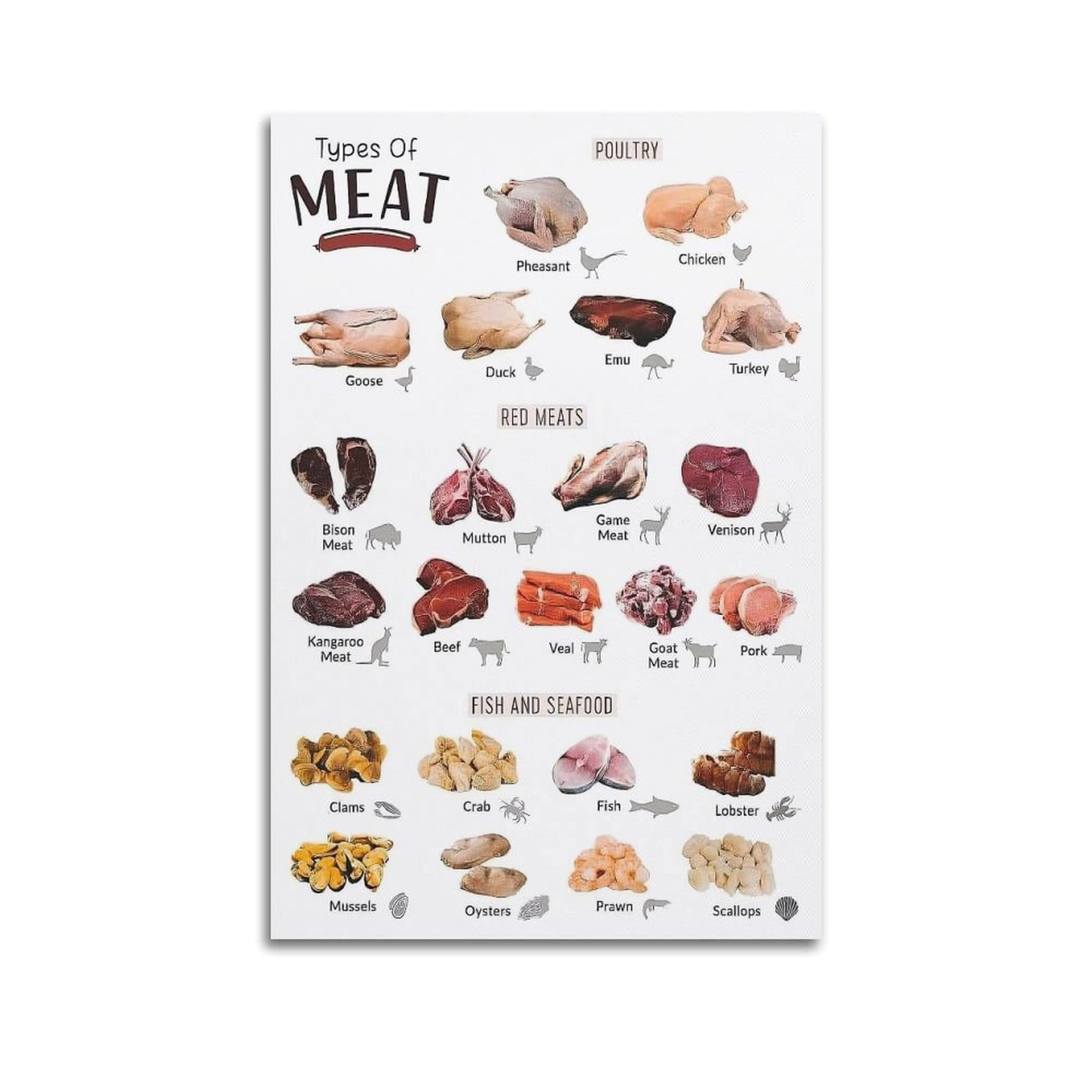 OKAHYS Types of Meats Artwork Poster Decorative Painting Canvas Wall Artworks Picture 20x30inch(50x75cm)