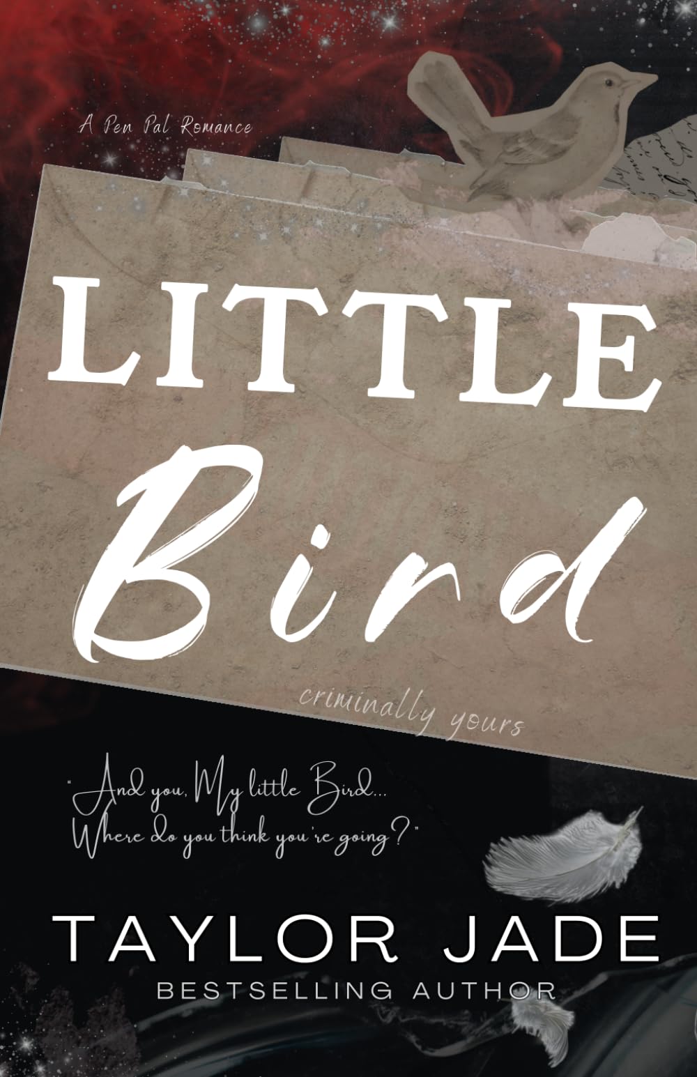 Little Bird: Criminally Yours: 1