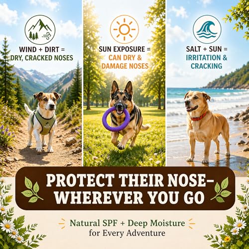 Natural Dog Company Snout Soother Dog Nose Balm, 0.15 oz Travel Stick | Moisturizer for Dry Crusty Noses, Coconut Oil & Shea Butter, Summer Care for Outdoor Dogs, Hot Weather & Beach Days