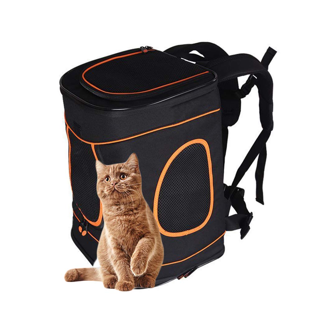 Sac à dos pour chien respirant et confortable pour transporter votre animal