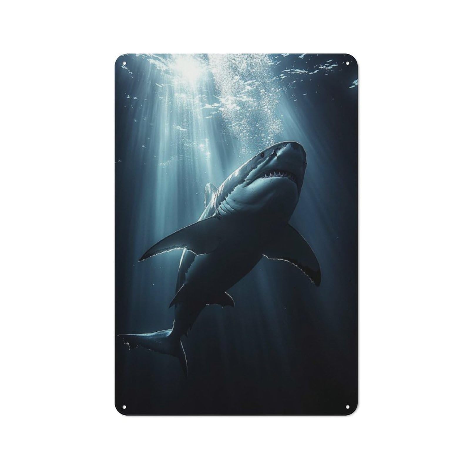Junmoney Style-5 Rustic Great White Shark Underwater Sunlight Tin Wall Sign 30X20cm, Kitchen Wall Decor For Bakery, Diner, Cafe Or Family Room