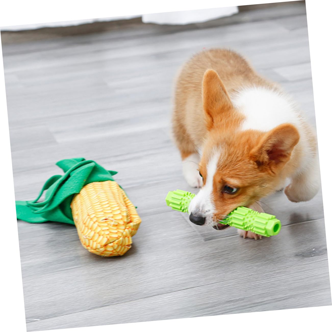 Angoily 3ensembles Jouet pour Chiens Forme De Maïs Jouet Alimentation Molar Rod Et Accessoire De Formation Interactif pour Chiens Et Chiots Et Polaire Doux