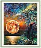 💮PERFEKT FÜR ANFÄNGER: NANASUGUR Kreuzstich-Kits gibt eine voreingestellte Leinwand und detaillierte Beschreibung, komplette Werkzeuge, geeignet für Kinder, Erwachsene, Anfänger, müssen Sie nur den voreingestellten Weg folgen, können Sie die Führung übernehmen, um das Ziel zu erreichen und die intellektuelle Herausforderung abzuschließen.