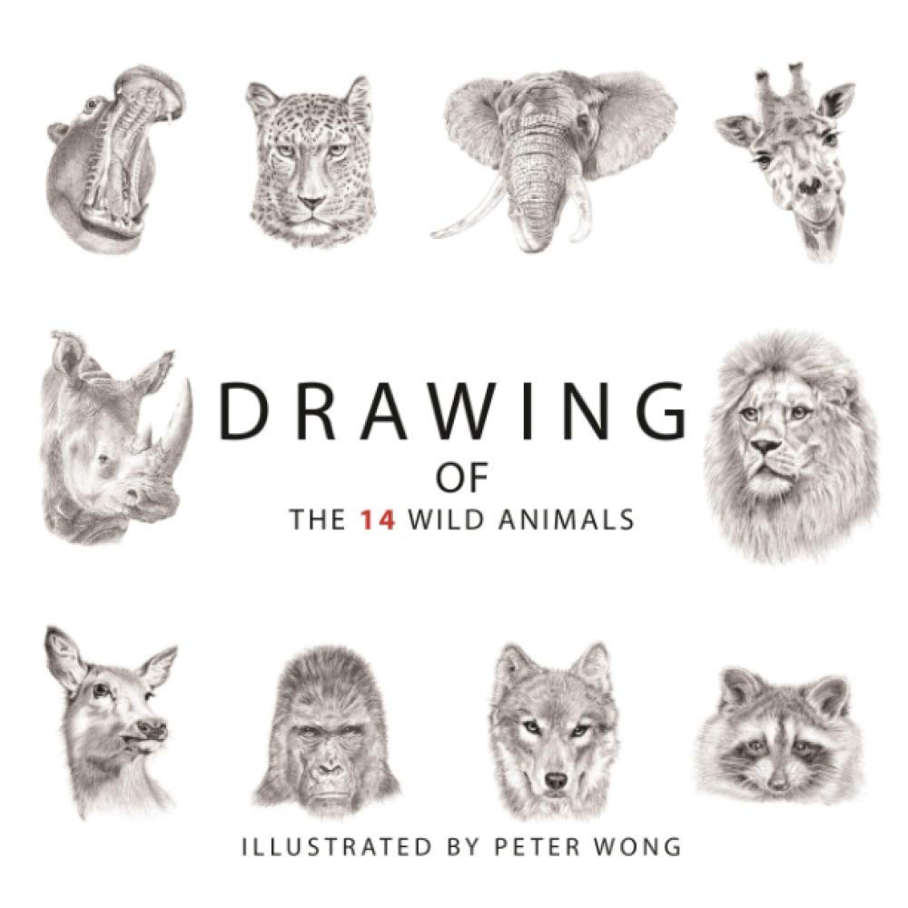 DRAWING OF THE 14 WILD ANIMALS