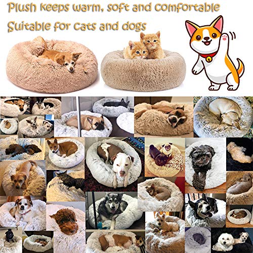 Fansu Cuccia per Gatti Letto per Cani Gatto