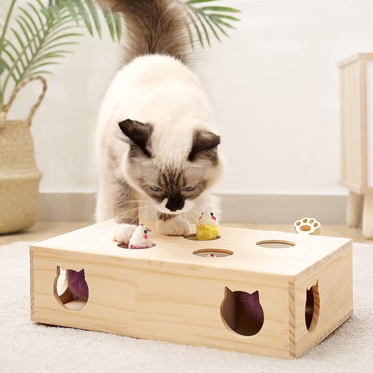 Juguete desplegable para gatos, juguetes interactivos de madera maciza para gatos de interior, juego de atrapar ratones.