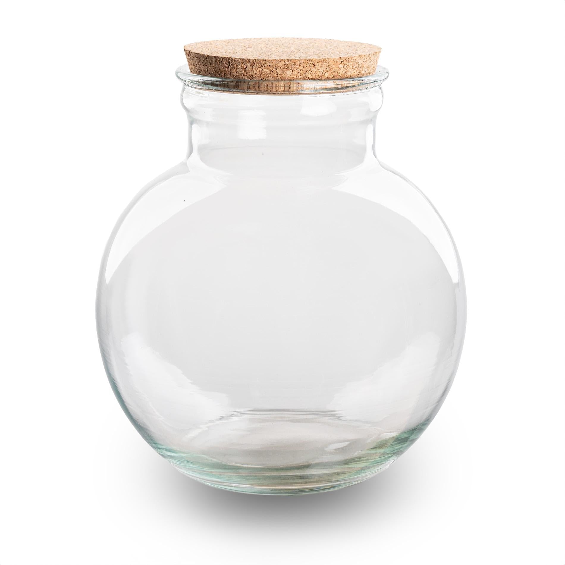 Terrarienflasche Teddy mit Korken – Ø25cm 26,5cm – Glasflasche aus Recyclingglas – ca. 7L Volumen – Für DIY – Terrarien & Mini – Ökosysteme