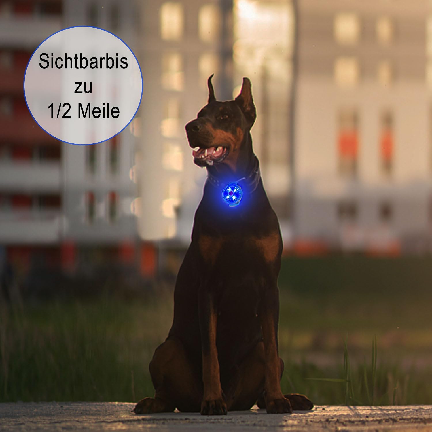 2 luces de seguridad para mascotas, recargable por USB, luz LED intermitente para perros, gatos, 3 modos de parpadeo, impermeable, seguridad para mascotas