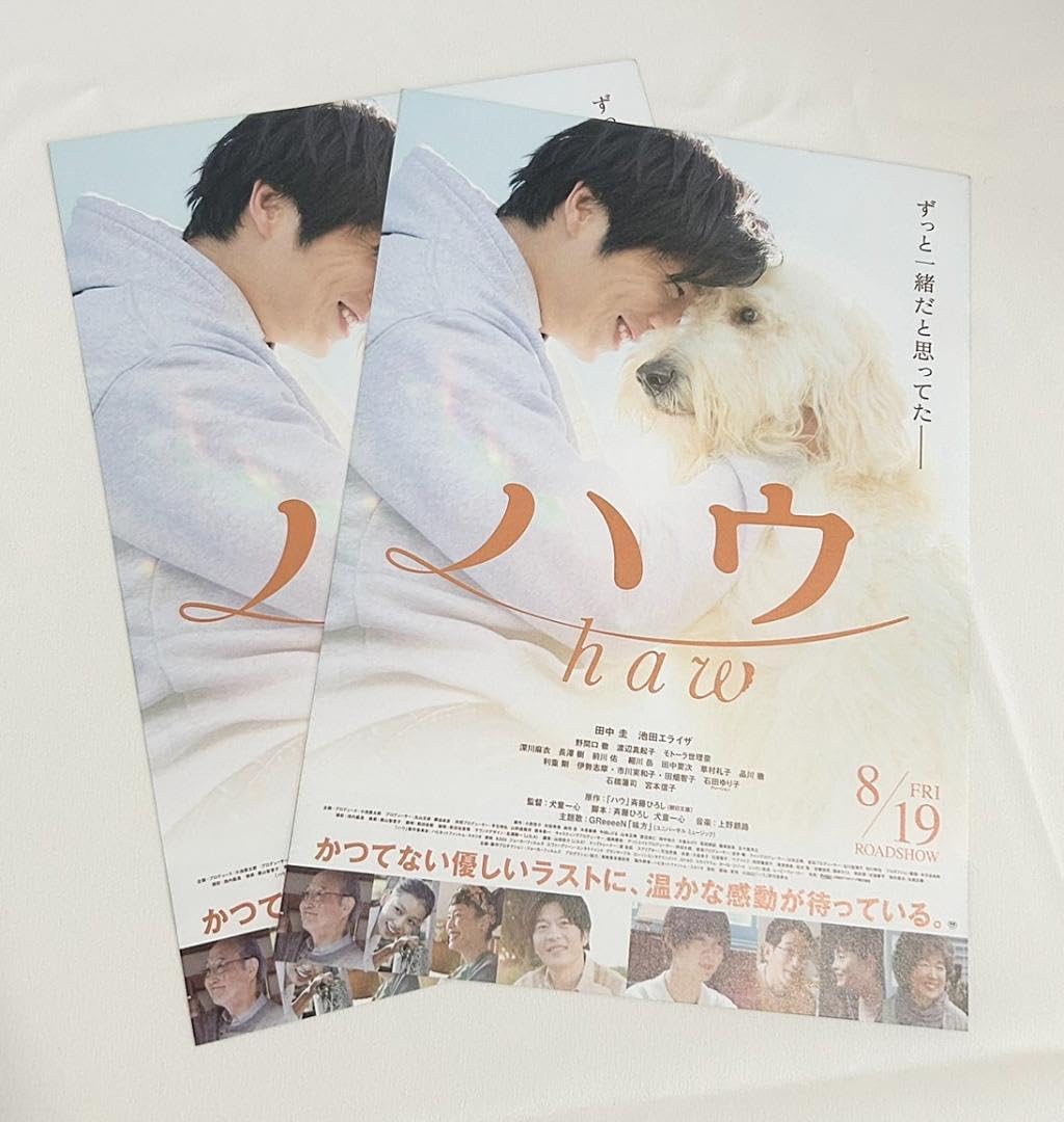 Amazon.co.jp: 映画 ハウ haw 田中圭 池田エライザ ちらし