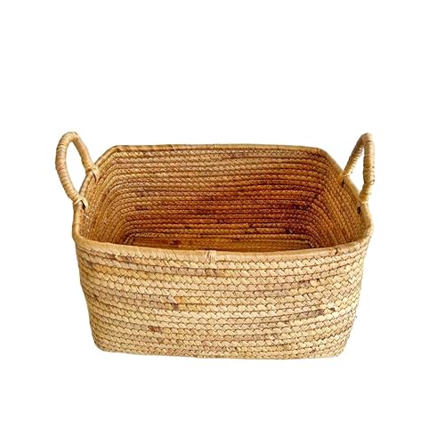 [ oXPbg EH[^[qVX oXPbglpJS  [ ߗ  z o   Vv AWA xgi SC-570