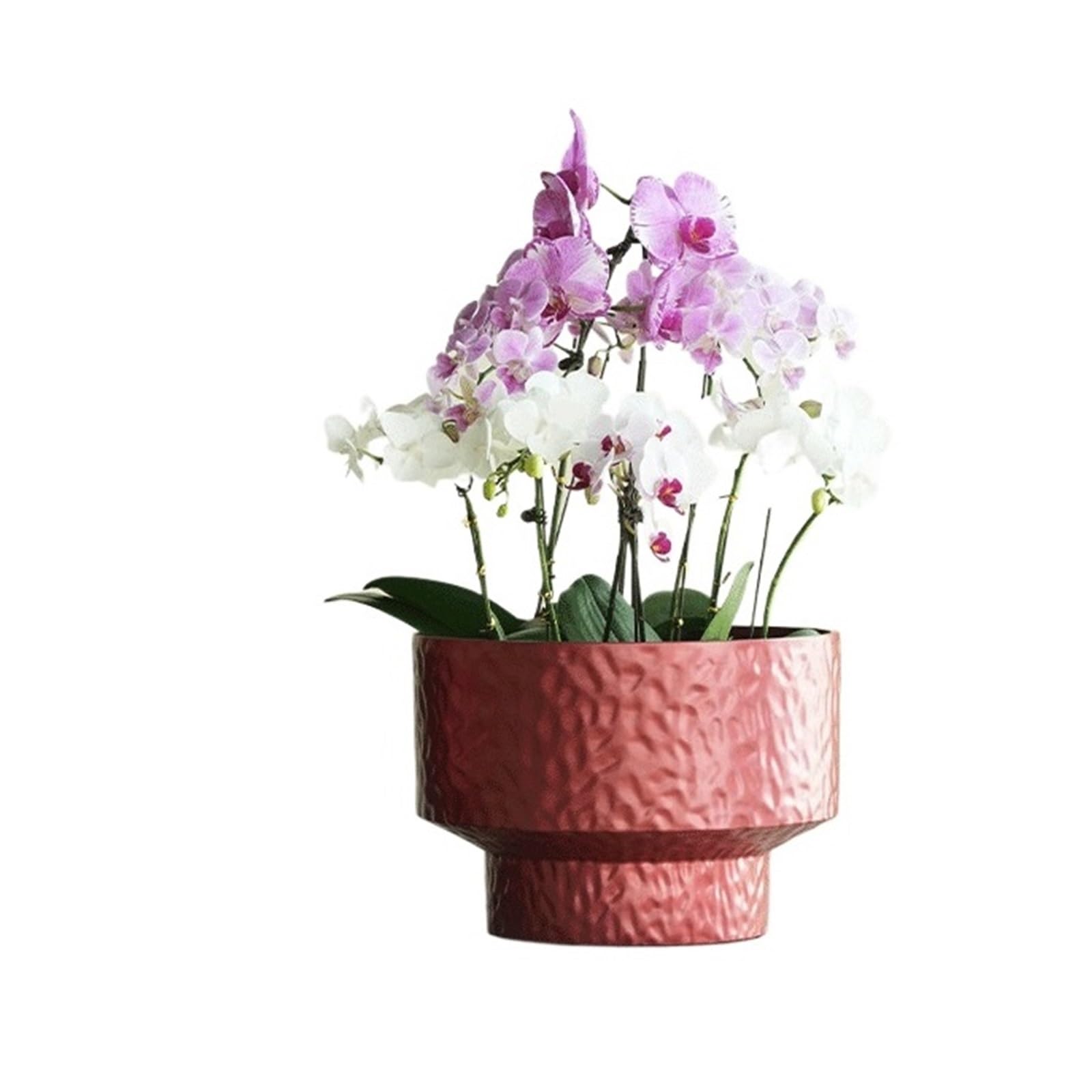 Mq5rB8u1 Minimalist Planters: These Round Planters Are Made Of Pearlescent Plastic(Red,Medium)
