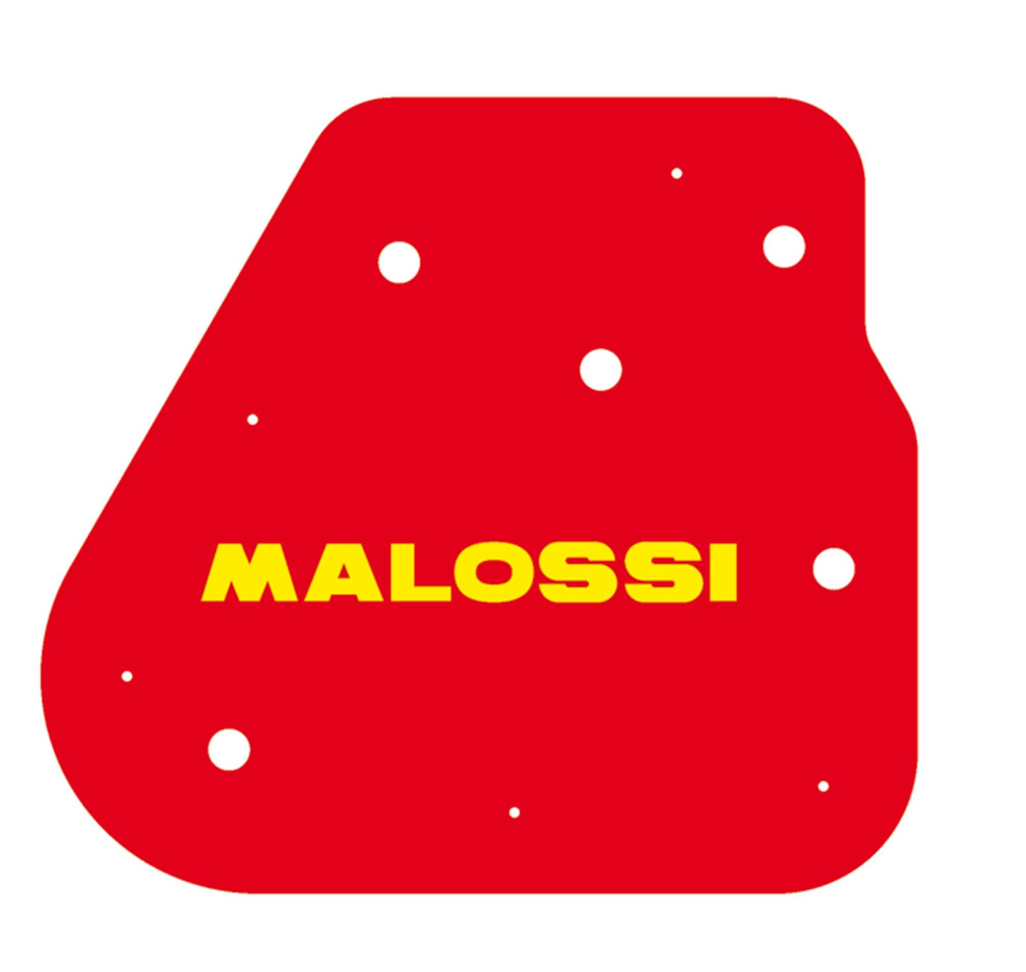MALOSSIAir Filter Insert for CPI/Explorer/Garelli