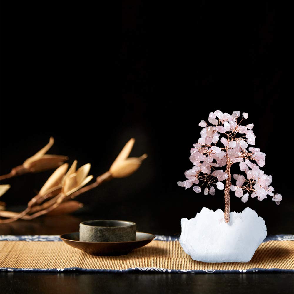 木製 自然な形状の置物 木の化石 希少 小物入れ クラスター 木製 自然な形状の置物 木の化石 希少 小物入れ クラスター