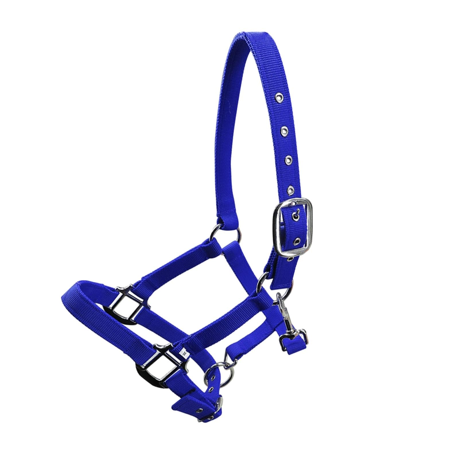 Halfter Für Pferde Gepolsterter Pony-Halfter-Kopfkragen, verstellbares Pferdezubehör(Blue XL)