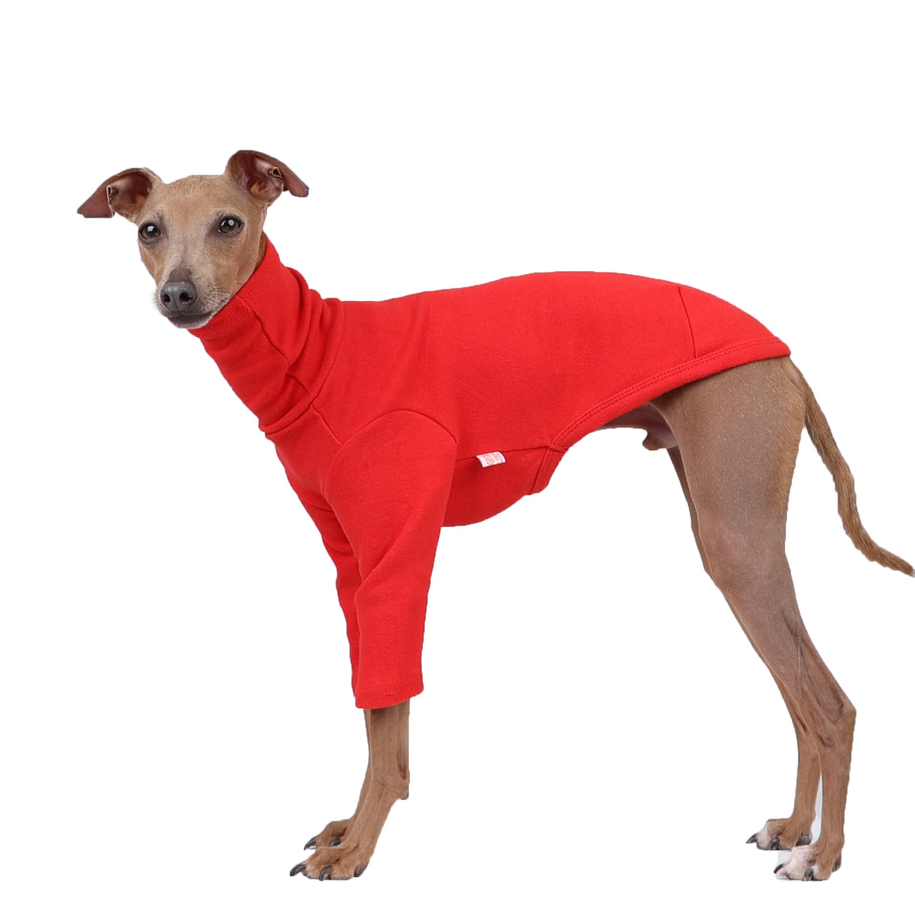 D Doggy Star Italian Greyhound Clothes Flexible T Shirts Whippet for Dogs (L,Solid Red) โ image 1