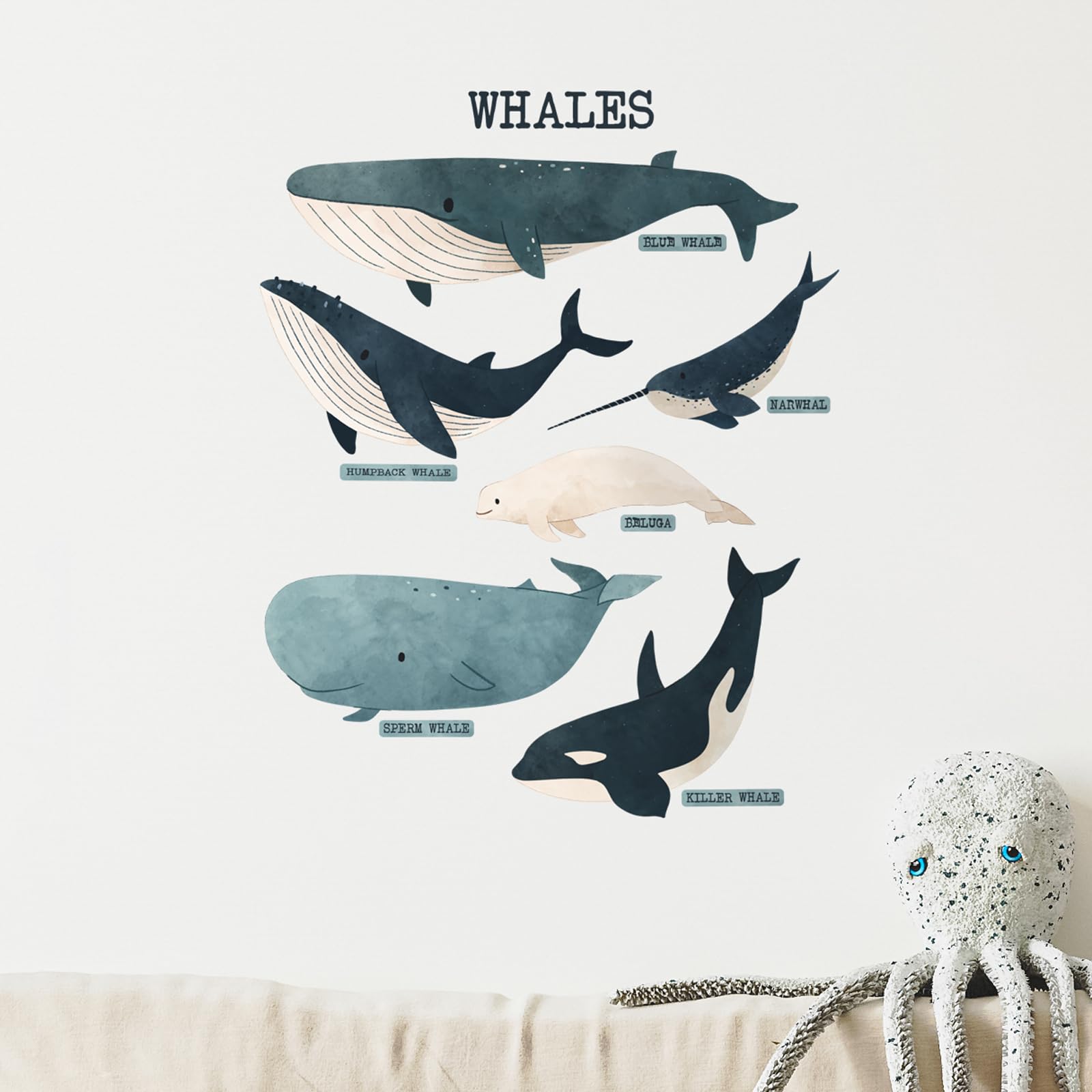 Whale Wall Stickers – Ocean Animal Wall Decals for Kids Room, Easy to Apply & Removable, Ideal for Nursery & Playroom Décor