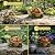 Riletese Solar Turtle Garden Outdoor Decor Statue, Resin Tortoise Figurine with LED Lights, Unique Mother's Day Birthday Gifts for Women Mom Grandma, Patio Yard Lawn Ornament