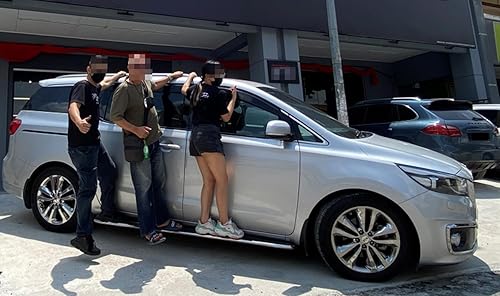 Miniatura 3 de Estribos compatibles con Nissan Pathfinder 2022-2024 de aluminio con pedal de barras Nerf, rayas