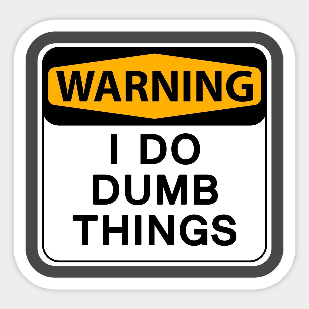 Warning_ I Do Dumb Things Sticker | Vinyl | Decal for Car Bumper Sticker, Laptop Sticker, Waterbottle Sticker, Waterproof Sticker 5 Inch