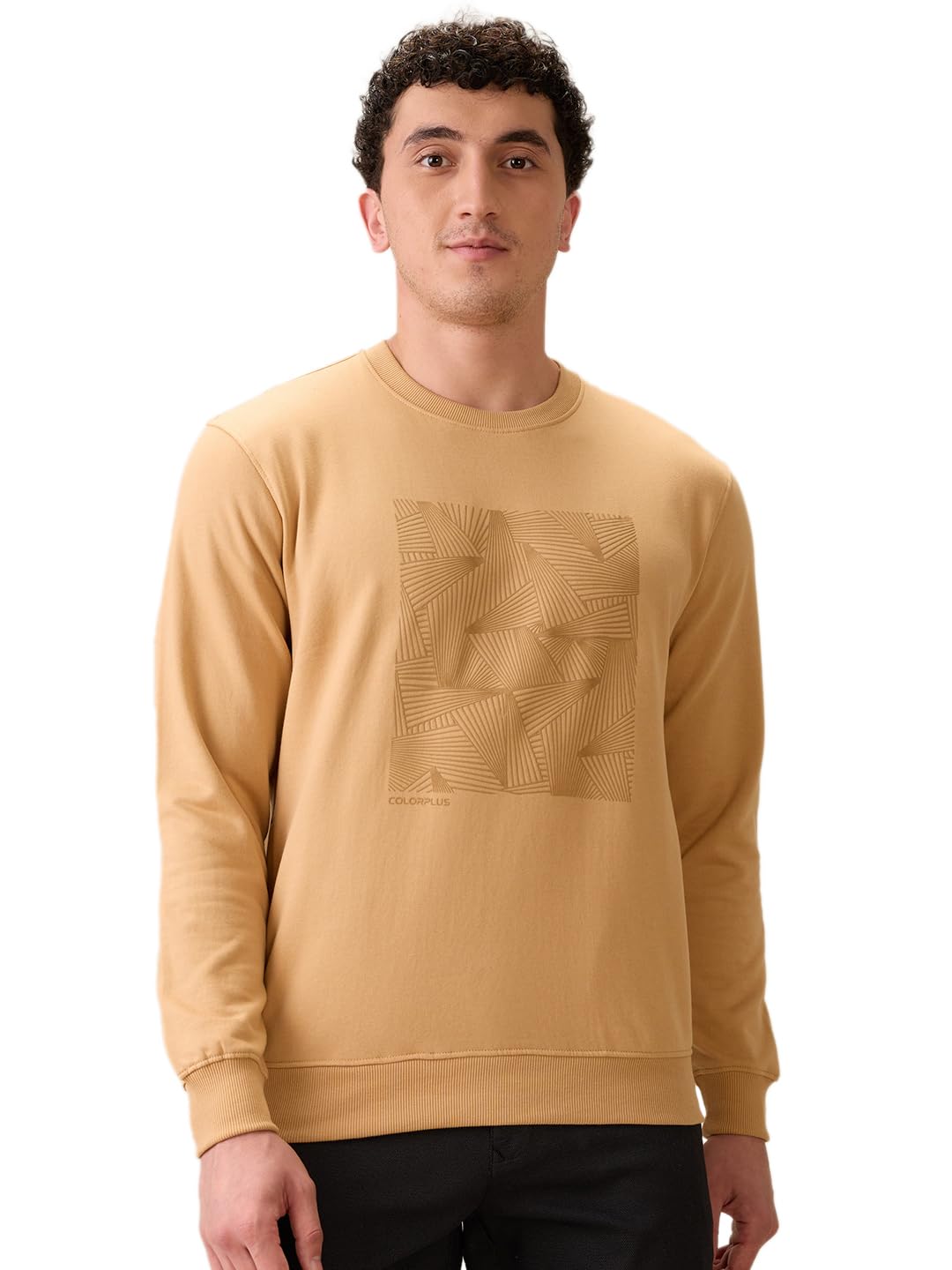 colorplus Men Full Sleeve Regular Fit Print Pattern Cotton Polyester Blend Henley Neck Henley Neck Casual Sweatshirt-picture-49