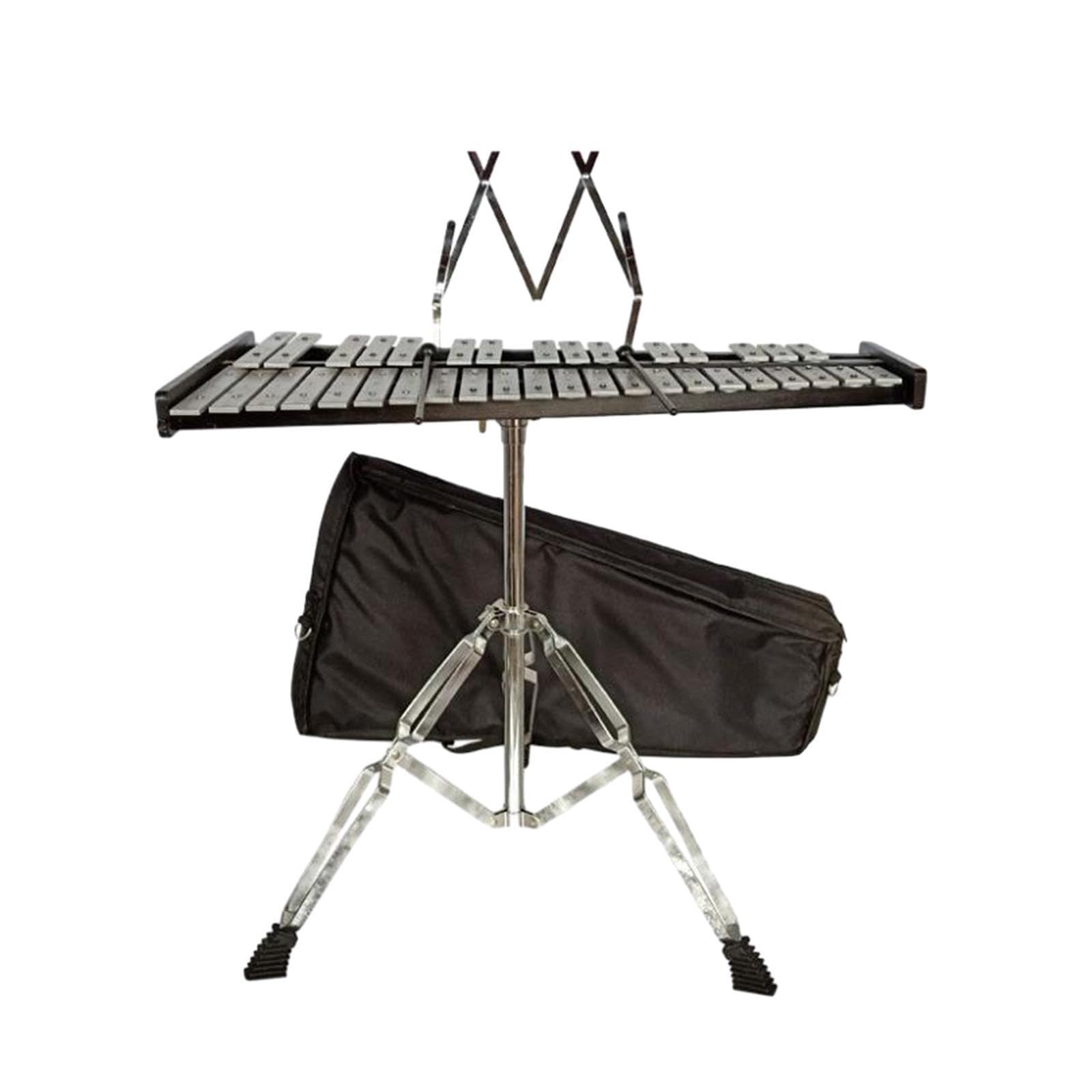 Xilofono a percussione con custodia morbida, strumento musicale professionale per l'insegnamento, per musicisti in crescita, adulti o bambini che