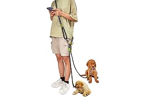 Hands Free Dog Leash for Two Dogs