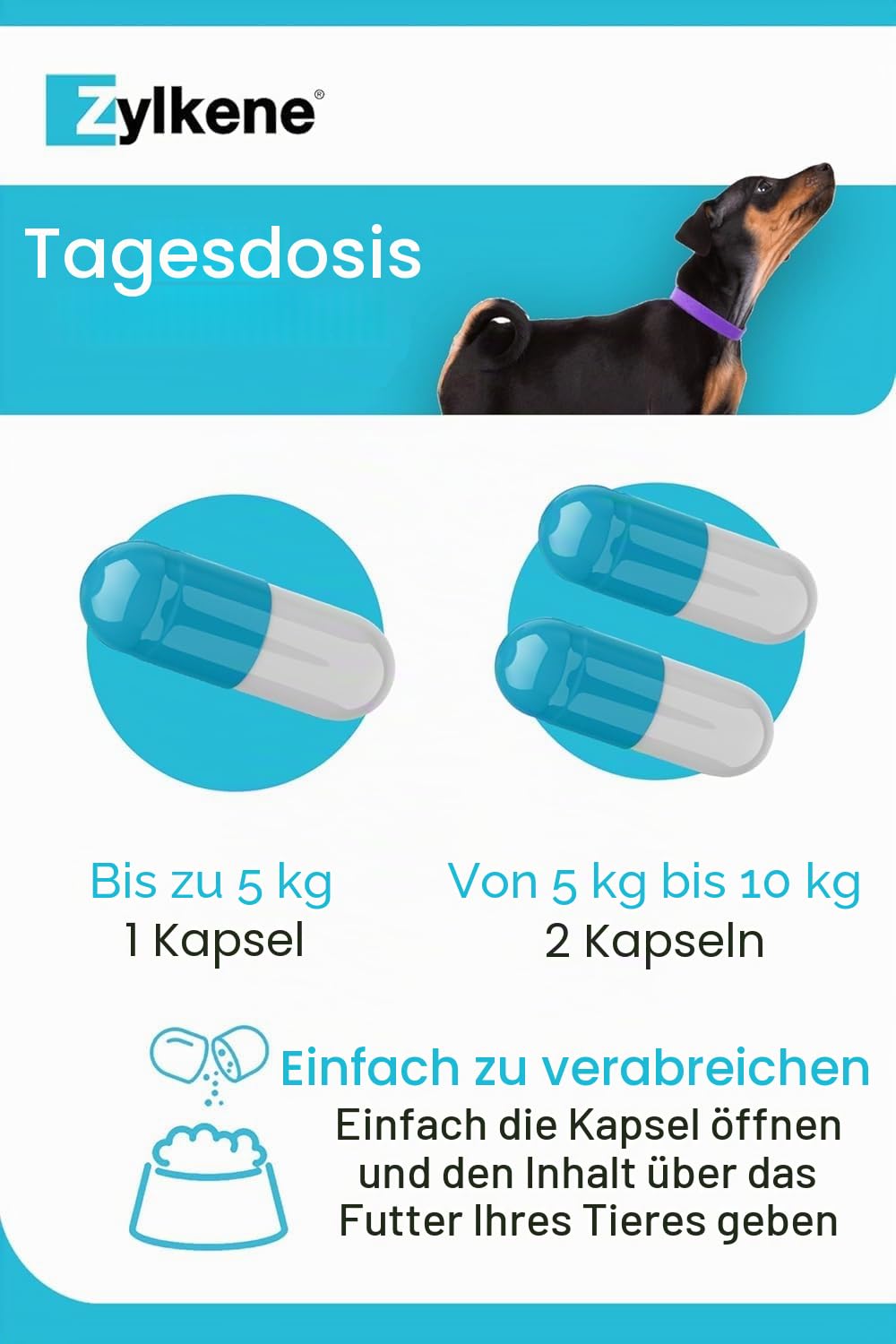 Zylkene Ergänzungsfuttermittel | Katzen und Hunde bis 10 kg | Entspannend bei Beschwerden | 100 Kapseln 75mg
