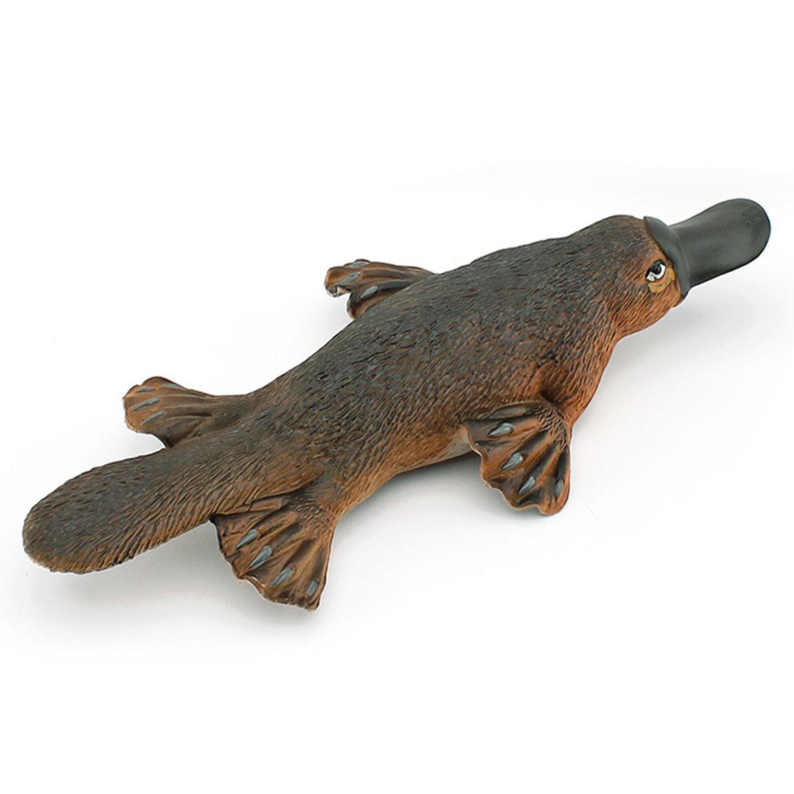 Amazon.co.jp: カモノハシのおもちゃ - 現実的なカモノハシ グッズ