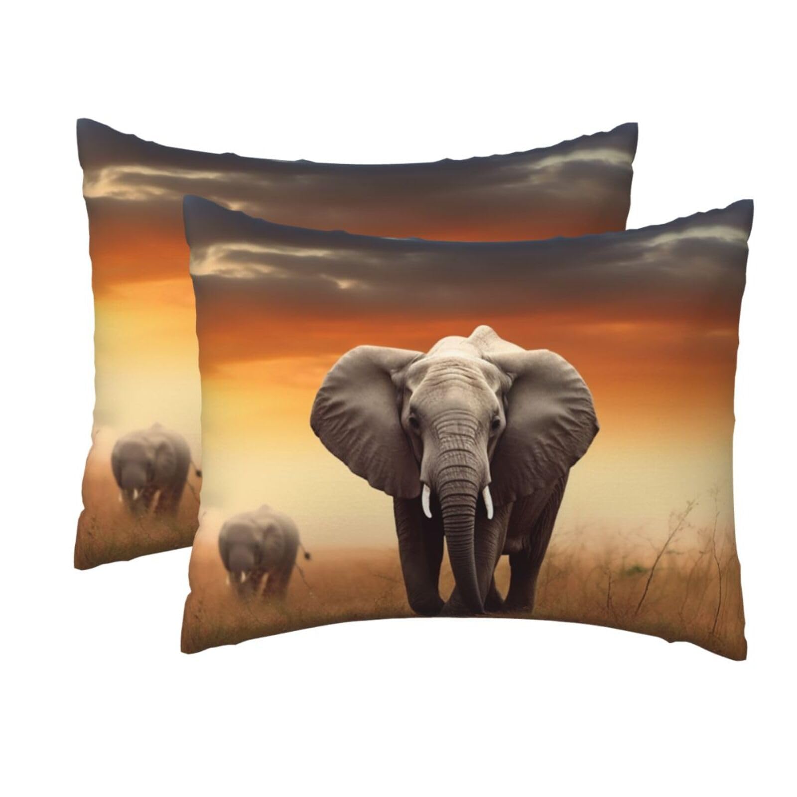 2 Pack Standard Size Pillow Cases for Hair and Skin Soft Breathable Pillow Case Covers with Hidden Zipper Cute Wild Elephant Pillowcase 20x26 Inches Pillow Cover for Sleeping Gift