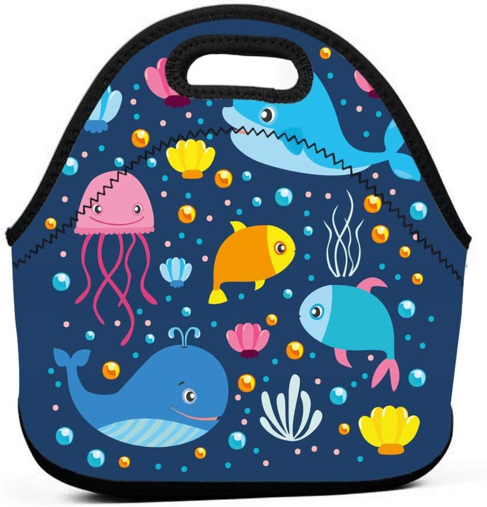 DJUQBWKP Explore The World Portable Lunch Bags,Reusable
