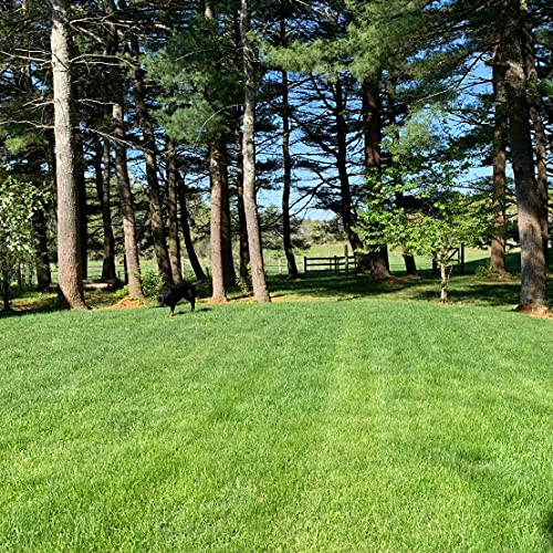 Purely Organic Products Llc 25 Lb. Lawn Food Fertilizer #TOP3