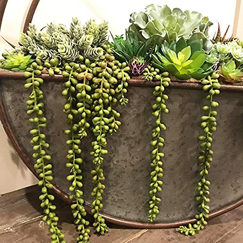 Encuentra la mejor selección de Venta de plantas artificiales de esta semana. 5 Imagen adicional