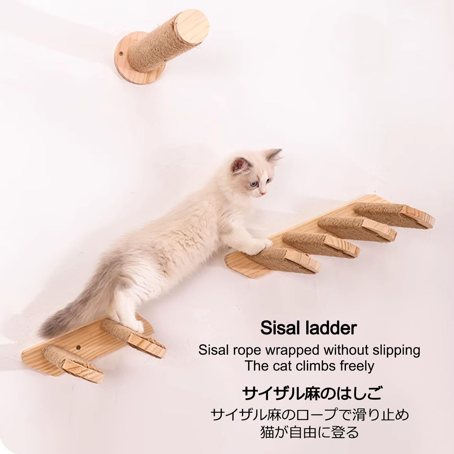 Amazon.co.jp: キャットステップ、キャットウォーク、壁ハンモック用猫