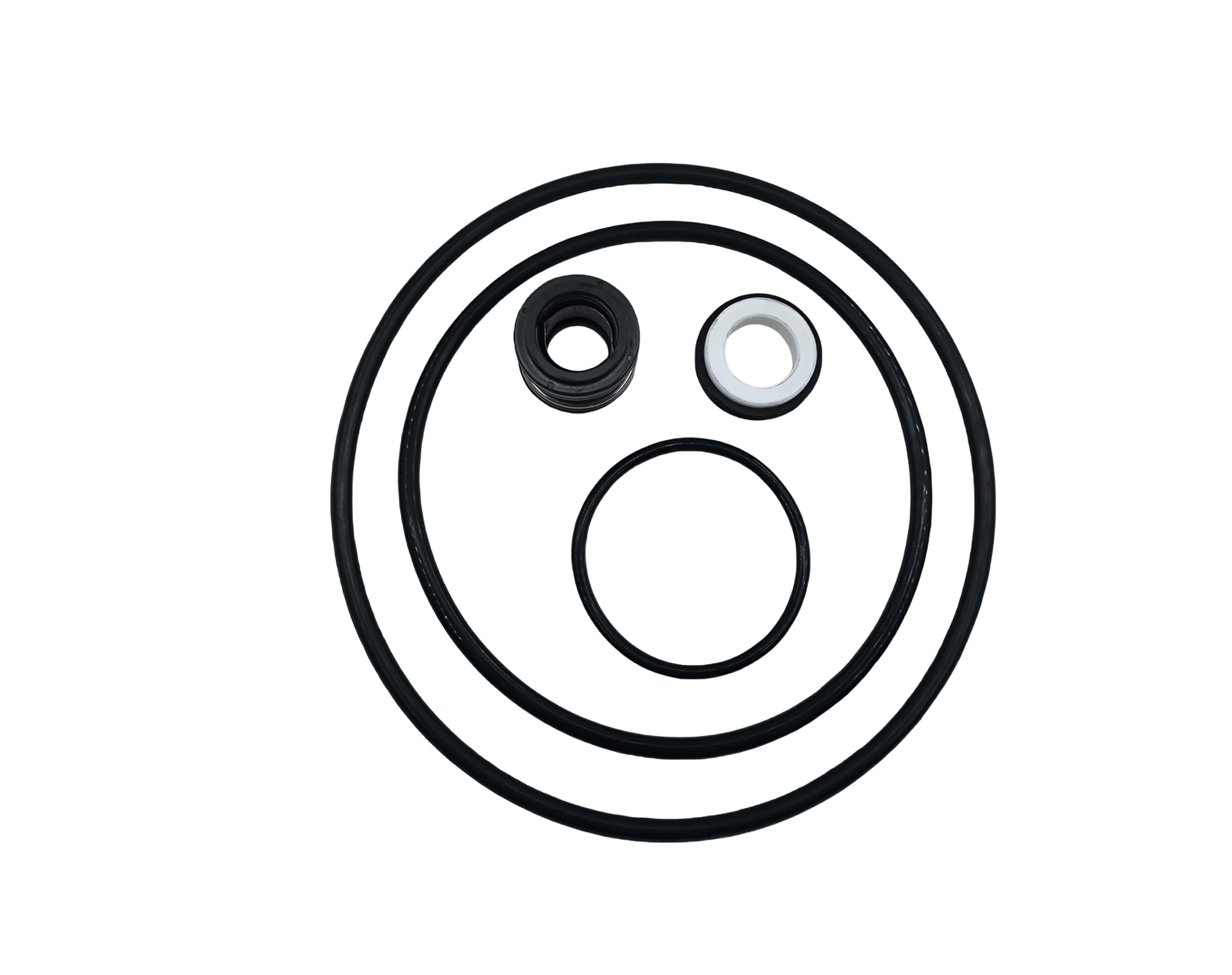 Buying Q Buying S Replacement O'ring Repair Rebuild Kit Compatible with Pentair Dynamo Pool Pump Kit