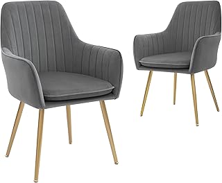 CangLong Velvet Dining Chairs Set (Grey)
