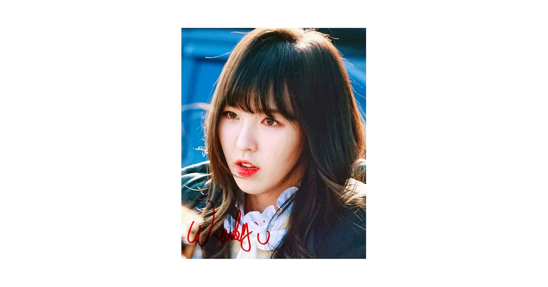 RED VELVET ウィンディ サイン入り フリスビー RED VELVET ウィンディ サイン入り フリスビー
