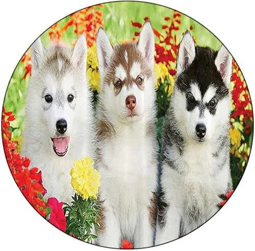 Miniatura 9 de Mantel elástico, decoración para amantes de los perros, funda decorativa de tela para diferentes razas de perros, Chow Chow Bulldog, se adapta a