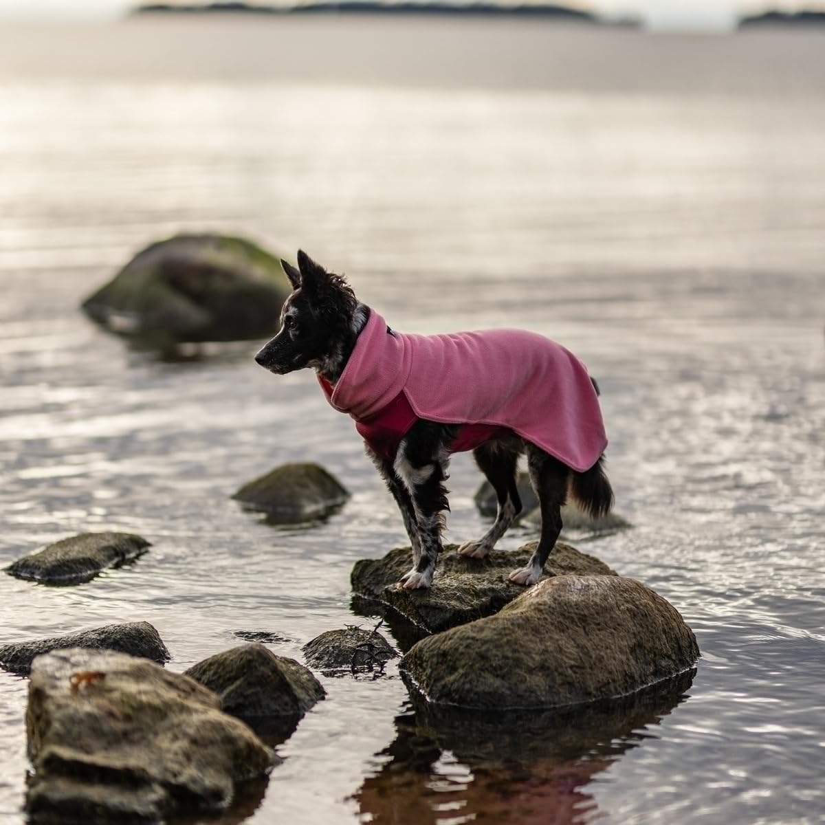 Hunde Pullover Seawool Shirt pink (Rückenlänge: 55 cm)