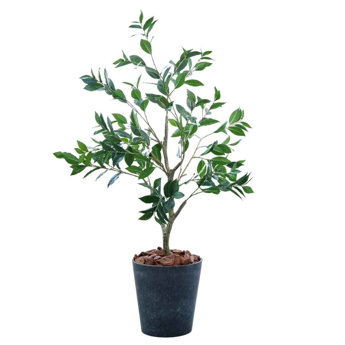【人気商品】Botanical life+ フェイクグリーン 観葉植物 光触媒 Amazon｜Botanical life+ フェイクグリーン 観葉植物 光触媒 日本製 消