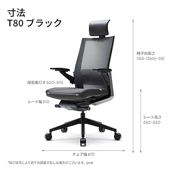 デスクチェア SitTight Chair Amazon | SIDIZ シディズ T80 オフィスチェア エルゴノミクス